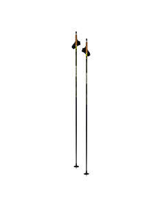 SWIX DYNAMIC D3 POLE, VASA 2