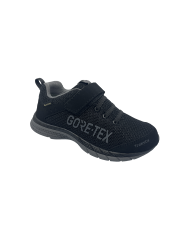 TREKSTA Multi Low GTX Svart